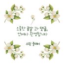 자이분식 이미지