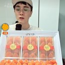 정원농산물가공유통