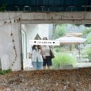 커피주택 - 수원시 팔달구 일월로42번길 8-15 | 합정 카페 머씨커피 주택개조 감성카페 방문 후기
