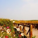 더한의원 이미지