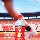 표현하는 즐거움+ 유화 이미지