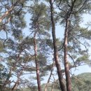 비석농산 이미지