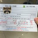 장스여성병원 | [25주차] 장스여성병원 임당검사 &amp; 입체초음파 후기