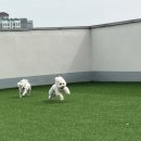 루이야 놀고 자고 GO 이미지