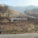 송광 공인중개사사무소 네이버블로그