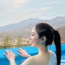 더포레C 이미지