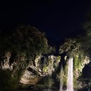 천지연 폭포 | 🌙 서귀포 야간명소 천지연폭포 방문 후기 ⭐ 별 보러 가볼만한 곳