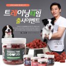 트레이닝 타임[Training time] 이미지