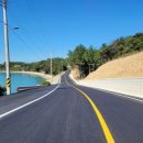 완도13호 이미지