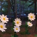 방화근린공원 천문우주과학관 이미지