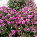 한솔중학교 이미지