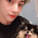 태형 이미지