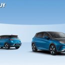 태풍카인테리어 이미지