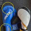 엘리트 복싱 | 리뷰] 복서의 훈련 필수템! RDX AIBA 엘리트 lite 복싱 글러브 10oz 후기 (프로 vs 아마추어 글러브 차이)