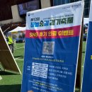 정선군재활용선별시설 | 제12회 하늘숲길 걷기 축제 참여 후기랑 하이원 리조트 마운팅 F동 룸 투어, 웰니스센터 힐링존 후기...