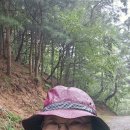 판초우의/집게 이미지