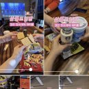 살롱드독 이미지