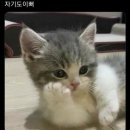 포도약국 이미지