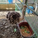 찬우농장 이미지