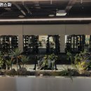 토미짐앤스파 이미지