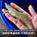 대하 대신 흰다리새우? 맛과 가격 모두 잡은 대한민국농수산 솔직 후기
