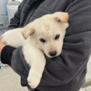 바른길동물병원 이미지