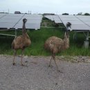 나라 태양광발전소 이미지