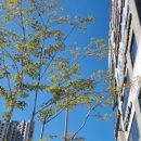 본죽&비빔밥 전주효천점 | 직장인 점심식사 메뉴 본죽&amp;비빔밥 전주 효천점 소고기 버섯전골 포도나무 법무사 세무사