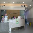 함께하는 동물병원 | [경산] 신대부적 믿을수있는 동물병원 "함께하는 동물병원"