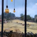 성산읍 창명빌라 앞 | 제주 성산 풀빌라 추천 느링느링스테이 가족여행 숙소 후기 (서귀포 성산읍 숙소)