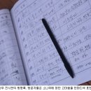 소나무숲 이미지