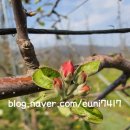 이현농장 이미지