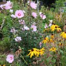 월산농장 이미지