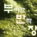부띠끄셀라 이미지