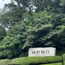 비젼힐스 | [남양주 호평동 원조천마산곰탕] 비전힐스cc 근처 맛집 솔직후기
