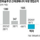 이게 다 中기업 탓 韓 태양광사업 적자 전망에 초비상 기사 이미지