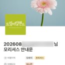 프린스PC | 신혼여행 준비 | 드림아일랜드 방문 상담 &amp; 계약 후기, 8월 모리셔스 일정, 두바이 스탑오버, 여행사 추천