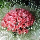 더영종호텔 이미지