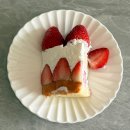 강남농장 영월지점 | 강남 케이크 시즈니크 신세계백화점 통딸기 생크림 케이크 기념일 선물 내돈내산 후기