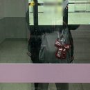 기아팬의 우천 취소 하루 보내기 (잠실신천샤브칼국수/상구네돼지구이후기)