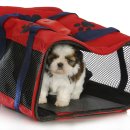 강북24시 N동물의료센터 이미지