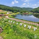 생태와대구 이미지