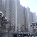 덕진-113 이미지