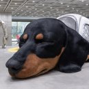 노웨어하우스 이미지