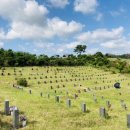 망월묘지공원(관리사무소) 이미지