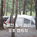 땡큐동물병원 | 제천 월악 파인 오토캠핑장｜계곡 뷰 좋은 C구역 후기