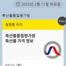 3/11(화) 한돈경락가 5,616원(▲213) 이미지