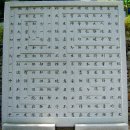 초전중앙의원 | 초전 법륜지 선산 도리사