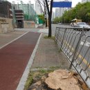 부림중학교 앞 이미지