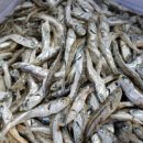 핏피티(Fit PT) 이미지